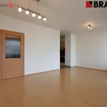 Rent 1 bedroom apartment of 42 m² in Brno