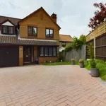 Rent 4 bedroom house in South East England