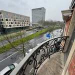 Rent 1 bedroom apartment in Leuven