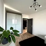 Rent 3 bedroom apartment of 60 m² in Rzeszów