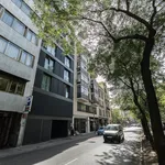 Rent 1 bedroom apartment of 45 m² in Madrid