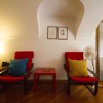 Rent 1 bedroom apartment of 45 m² in Torino