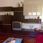 Rent 4 bedroom apartment of 85 m² in Pisa