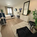 Rent 4 bedroom apartment in Madrid