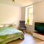 Rent 1 bedroom apartment of 49 m² in Leipzig