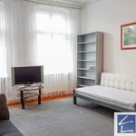 Rent 4 bedroom apartment in Szczecin