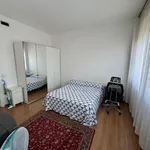 Rent 1 bedroom apartment of 55 m² in Milan