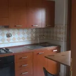 Rent 2 bedroom apartment of 73 m² in Roma