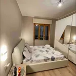 Rent 2 bedroom apartment in Turin