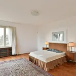 Pronajměte si 6 ložnic/e dům o rozloze 376 m² v Prague