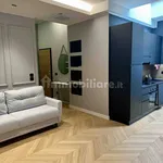 Rent 1 bedroom apartment of 40 m² in Turin