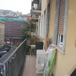 Rent 1 bedroom apartment in Milan