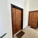 Rent 2 bedroom apartment of 47 m² in Anzio