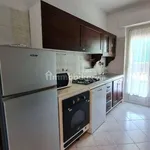 Rent 3 bedroom apartment of 80 m² in Novara