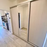 Rent 3 bedroom apartment in Praha 4