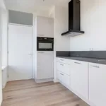 Huur 1 slaapkamer appartement van 50 m² in Rotterdam