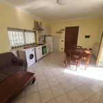 Rent 3 bedroom apartment of 60 m² in Roma