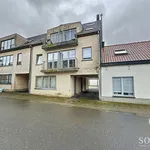  appartement avec 1 chambre(s) en location à Maldegem