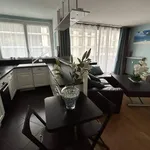  appartement avec 1 chambre(s) en location à Paris