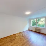 Pronájem byty 4+1, 78 m2 - Litvínov - Janov