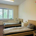 Rent 2 bedroom apartment in Zlín