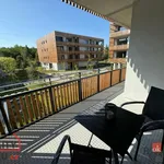 Rent 2 bedroom apartment in Plzeň