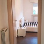 2-room flat via Indipendenza 230, Venturina, Campiglia Marittima