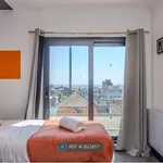 Rent 3 bedroom apartment in Brighton