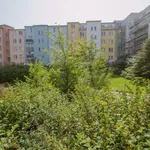 Rent 2 bedroom apartment of 65 m² in Praha