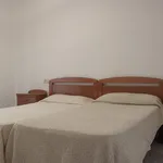 Rent 1 bedroom apartment in Granada