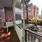 Rent 2 bedroom apartment of 40 m² in Follonica