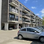 Huur 1 slaapkamer appartement van 41 m² in Groningen