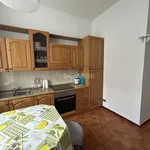 Rent 1 bedroom apartment of 75 m² in torino