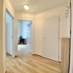 Rent 1 bedroom apartment in Brno