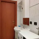 Rent 1 bedroom apartment in milan