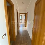 Rent 3 bedroom apartment of 70 m² in Roma