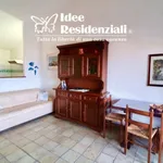 Rent 1 bedroom apartment in Palau