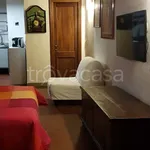 Rent 1 bedroom apartment of 35 m² in Firenze