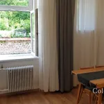 Rent 1 bedroom house of 115 m² in Brno