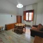 Rent 2 bedroom apartment of 60 m² in Bologna