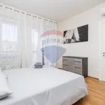 Rent 2 bedroom apartment of 70 m² in Torino