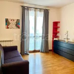 Rent 1 bedroom apartment of 45 m² in Segrate