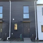 Rent 3 bedroom house in auckland