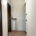 Rent 3 bedroom apartment of 60 m² in Montecarlo