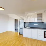 Rent 1 bedroom apartment of 31 m² in Pilsen