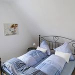 Rent 4 bedroom apartment of 48 m² in Nettetal
