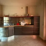 Rent 6 bedroom apartment of 100 m² in Verzuolo