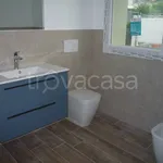 Rent 4 bedroom apartment of 100 m² in Padova