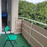 Rent 3 bedroom apartment of 60 m² in Kassel