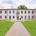 Rent 1 bedroom apartment of 58 m² in Mogliano Veneto